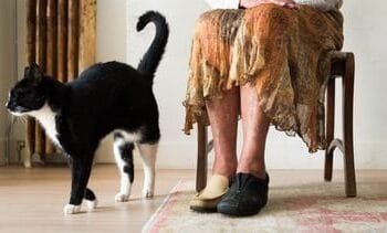 Slimme hersenstimulatie geeft nieuwe hoop aan mensen met Parkinson