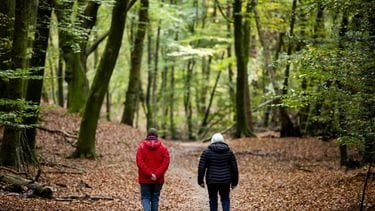 de komende dagen lijkt het wel lente