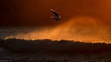 10 doden, onder wie een vermeende dader, bij Bondi Beach