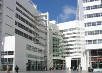 One in seven Dutch councillors quit mid-term over workload