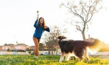 Zo voorkom je overgewicht bij je hond of kat – tips van de dierenarts