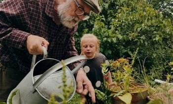 Dit kun je in de winter wél met je tuin doen (en wat beter niet) 