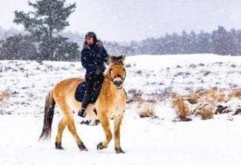 Snow set to continue until Tuesday, more flights cancelled