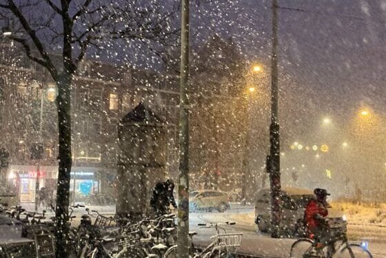 Why does the Netherlands seize up at the first sign of snow?