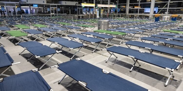 Code amber across most of NL as winter weather disrupts travel