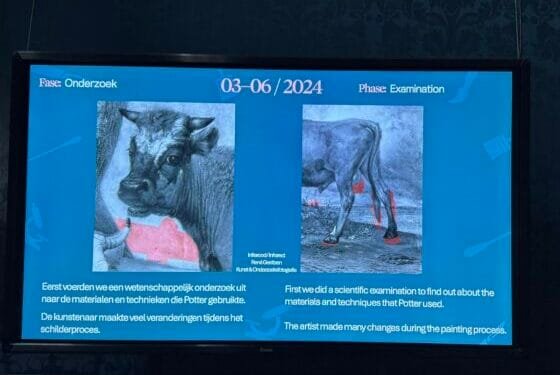 Not a load of bull: Classic painting once showed larger genitals