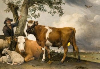 Podcast: The Cock and Bull and Wood Edition