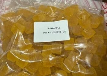 Dutch seize three tonnes of cannabis sweets and honey from US
