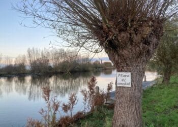 “Imagining leaving and not coming back here breaks my heart”