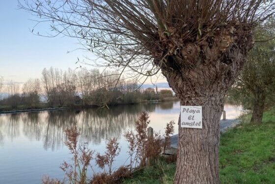 “Imagining leaving and not coming back here breaks my heart”