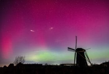 Northern Lights provide spectacular show over much of NL