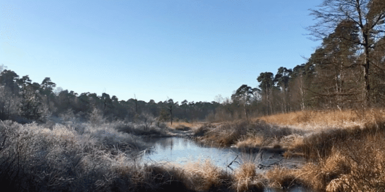 Code amber weather warning for the north, as freezing rain hits