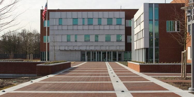 US ambassador says Trump’s allies comments “not directed at NL”