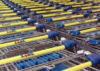 Lidl NL, Albert Heijn and Jumbo top green supermarket ranking