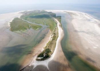 Car container ship stranded in Wadden sea after engine fire