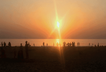 Last year was very sunny and warm, emphasising climate change