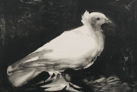 Dordrecht to Boom Chicago: 10 great things to do in February