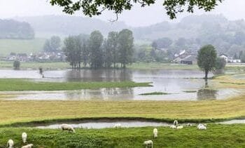 Dit wordt het weer in Zuid-Nederland komende week