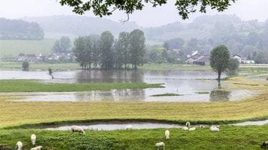 Dit wordt het weer in Zuid-Nederland komende week