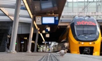 Vanaf deze dag verwacht de NS een normale treindienstregeling