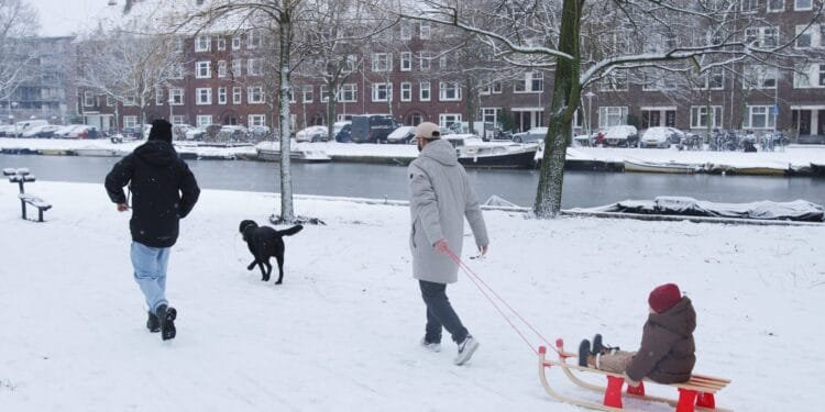 Heavy snow stops flights, commuters urged to head home early