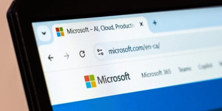 Dutch public and private sectors dependent on US cloud services