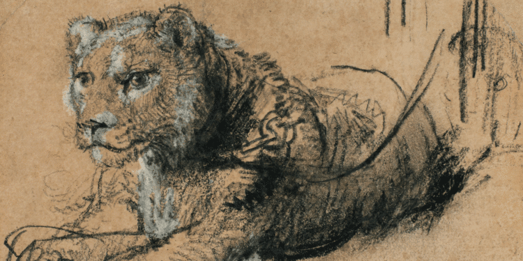 Rembrandt lion drawing fetches nearly €13 million for big cats