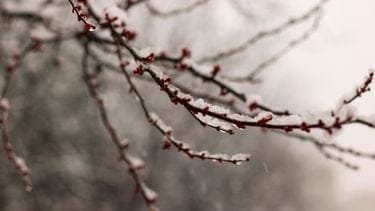 Blijft het dit weekend zo koud en glad? Dit staat ons te wachten