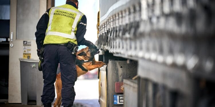 Dutch find 11 adults, six minors in lorry heading for Britain