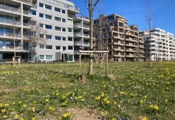 Spring is here for a day on Wednesday, as wind turns southerly