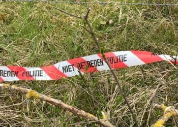 Murdered Syrian teens may have been random victims, police say