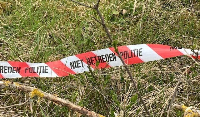 Murdered Syrian teens may have been random victims, police say