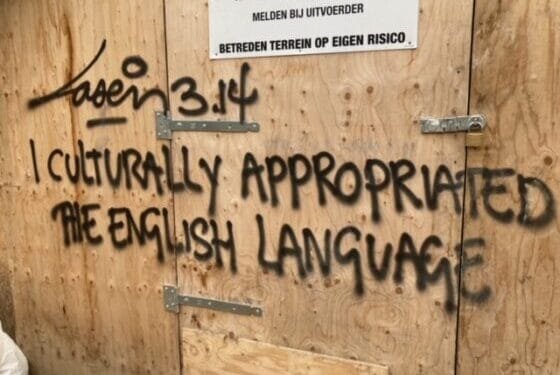 Local election watch: housing and litter dominate in Amsterdam