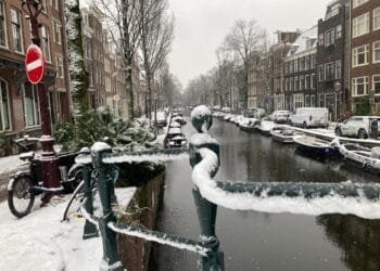 Despite the snow and ice, this winter was officially mild