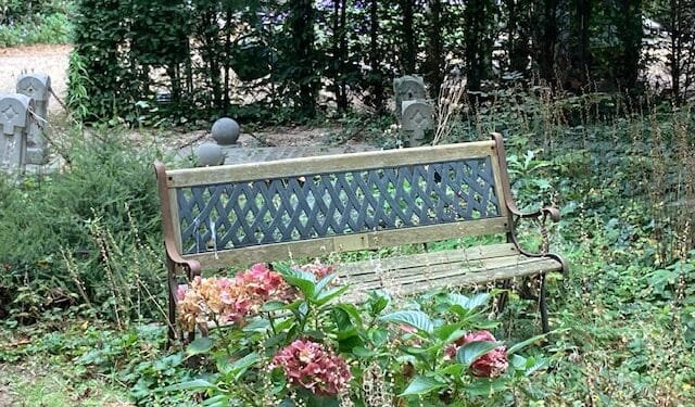 More people in NL are choosing to die by starving themselves