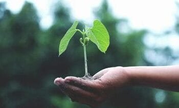 Dit staat Nederlanders in de weg om duurzamer te leven