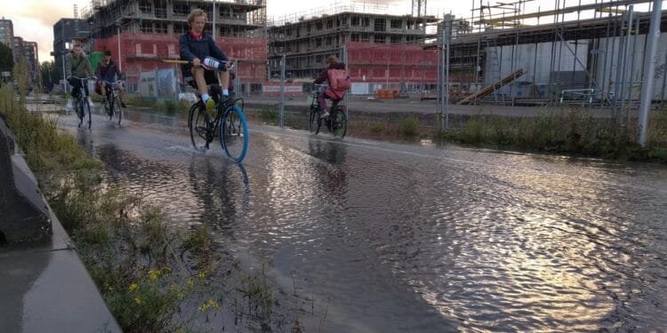 Sea levels much higher than assumed, Dutch scientists discover