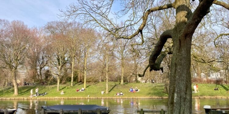 Mild weather continues but Saharan sand is on its way