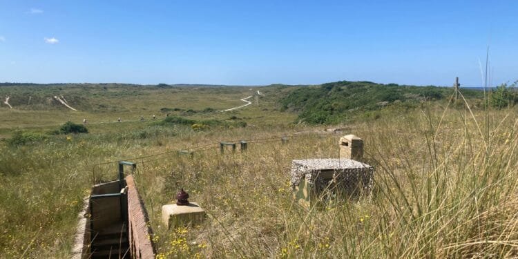 Goals for nitrogen cuts in nature areas will not be met: report