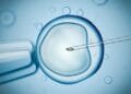 Fertility clinic used “old sperm” and lied about it: Nieuwsuur
