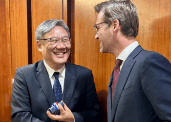 Dutch minister to lead trade mission to China despite sanctions