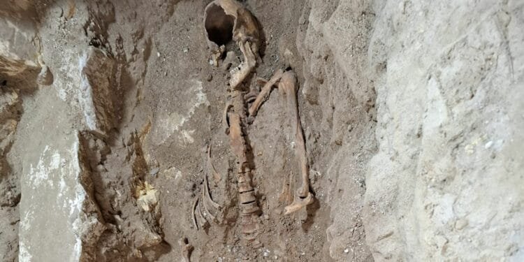 More DNA is needed to establish if skeleton is d’Artagnan
