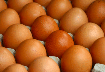 Eggs for Easter come at the highest price in five years