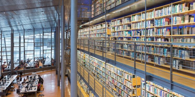 Dutch plan to launch two new doctorates: PD and EngD