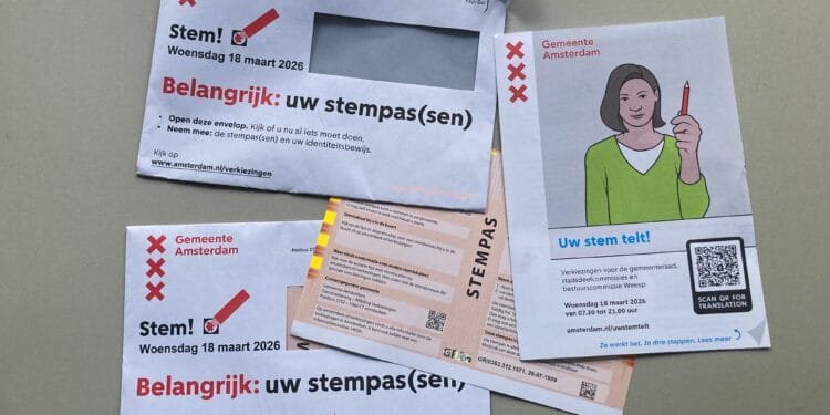 No local election voting card? Here’s what you need to do