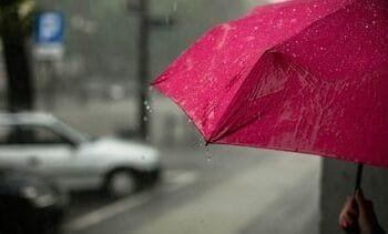 De lente is begonnen, maar het weer blijft nog even guur en nat