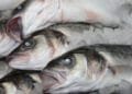 Two out of three fishmongers don’t comply with food safety rules