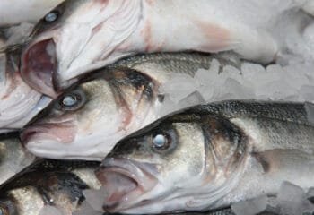 Two out of three fishmongers don’t comply with food safety rules