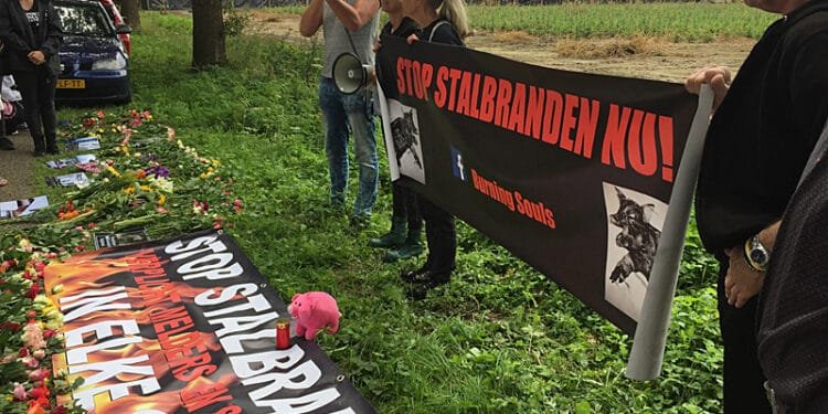 60,000 animals died in farm fires in 2025, insurers urge action