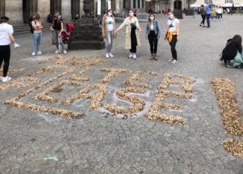 Councils say cigarette makers should pay for butt clean-up